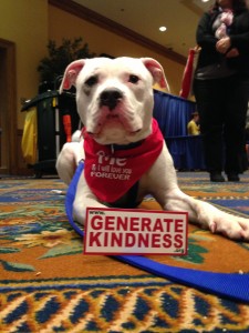 Kindness is for the Dogs (too)